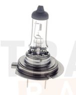 Hella H7 Halogen Globe - 12V 55W (CA1255)