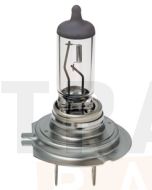 Hella H7 Premium Long Life Halogen Globe - Plus 100 (CA2470LTS)